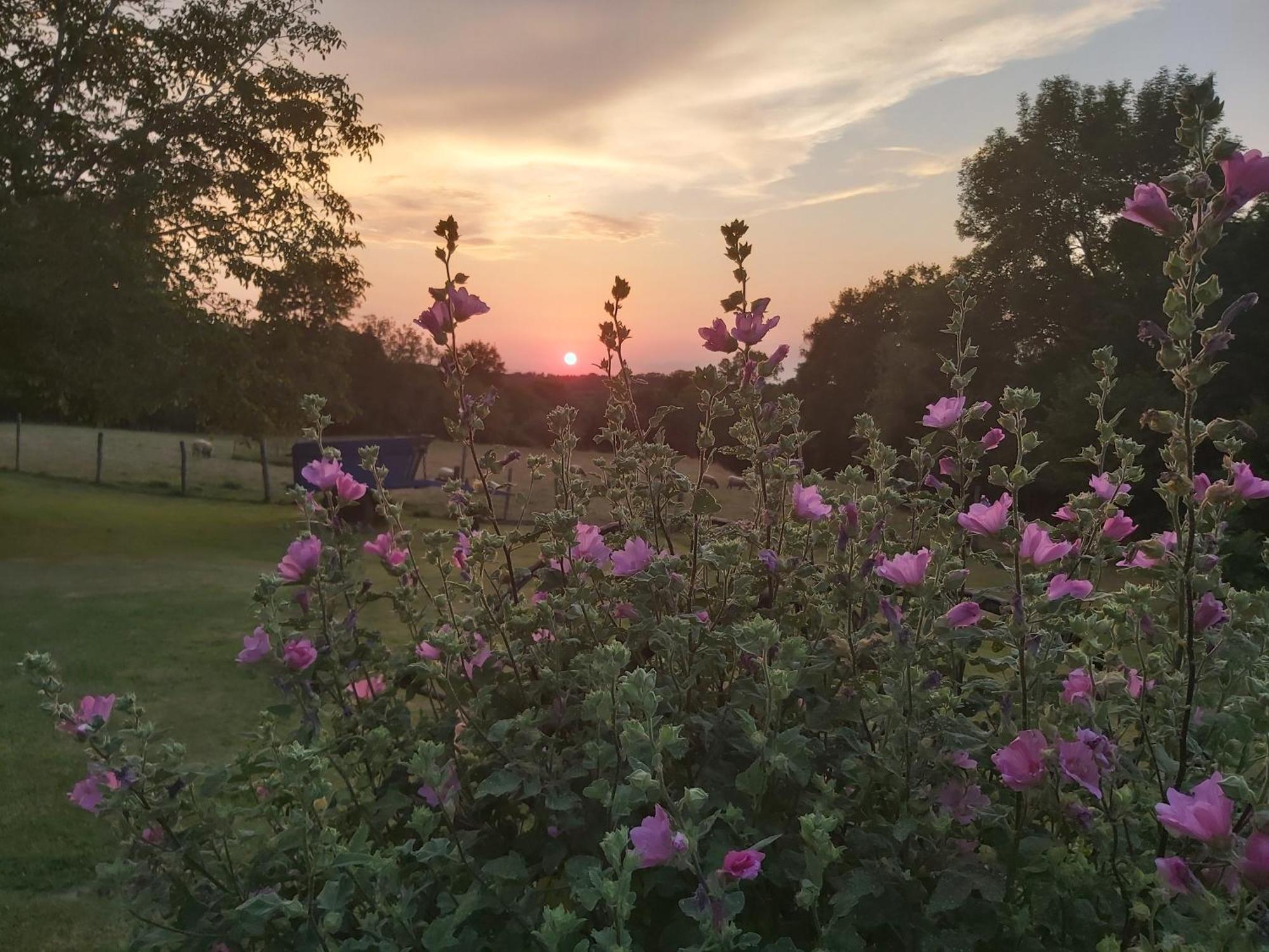 Le Petit Pre Bed & Breakfast Bouesse ภายนอก รูปภาพ